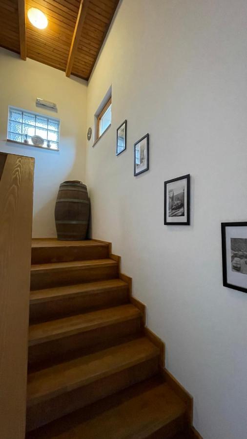 Guest House Alpha Ski Camp ยาโฮรินา ภายนอก รูปภาพ
