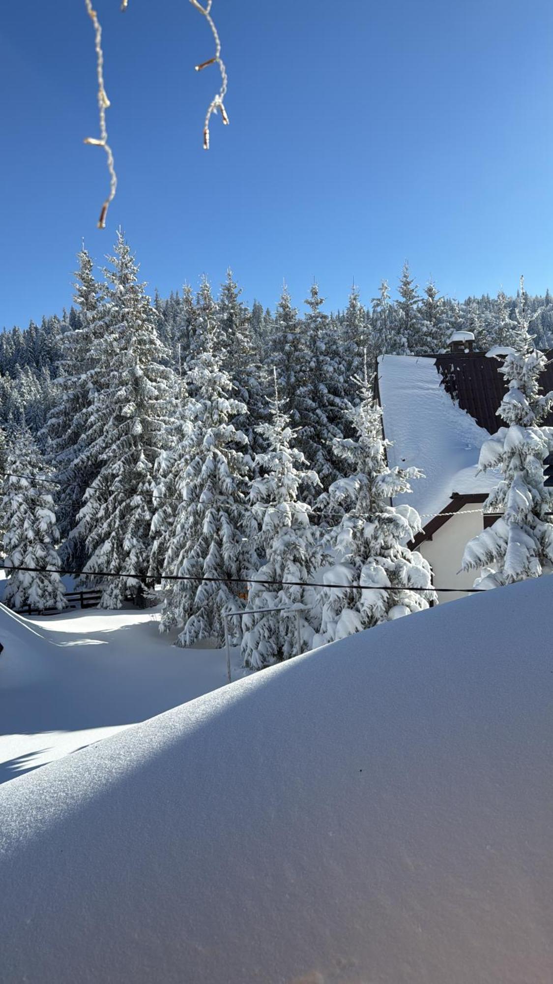 Guest House Alpha Ski Camp ยาโฮรินา ภายนอก รูปภาพ